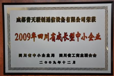 公司榮譽